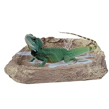 Amazon.com : Needzo Corner Rock Bowl for Hermit Crabs, Food